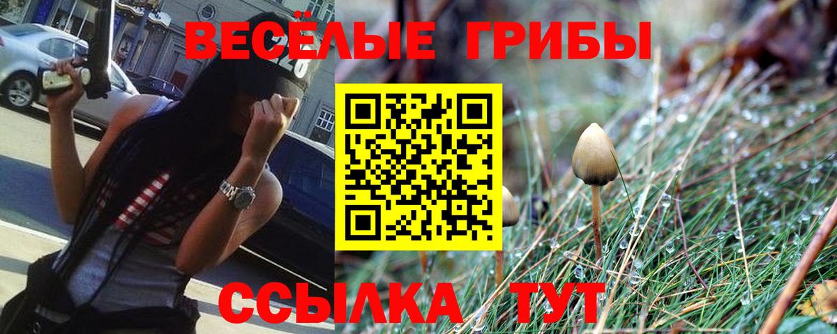 Псилоцибиновые грибы ЛСД Пушкино